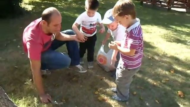 Как мы грибы собирали смотреть онлайн