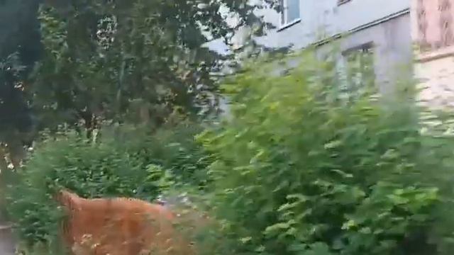 Харьков 28 мая 2023 года Рогань , глазами Салтовчанина смотреть онлайн