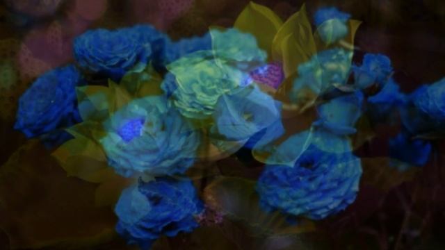 Я хочу за Тобою идти смотреть онлайн