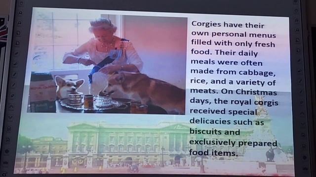 доклад«Queen Elizabeth II and Her Devotion to Corgis»/«Королева Елизавета II и ее преданность Корги смотреть онлайн