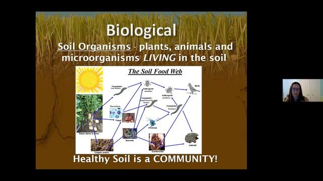 The Green Palette Webinar 1: Stormwater, Sustainability & Soils смотреть онлайн