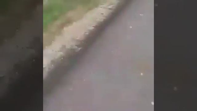 Передовые части ВС Турции вошли в Африн смотреть онлайн