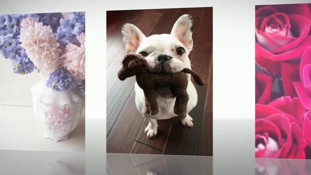 поздравления с 85 летием женщине смотреть онлайн