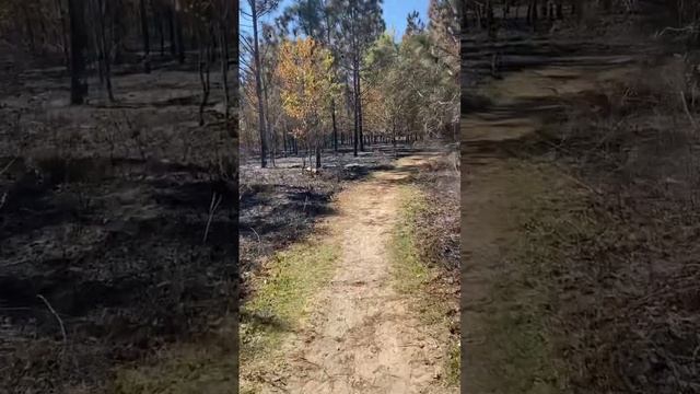 #controlledburn #hiking смотреть онлайн