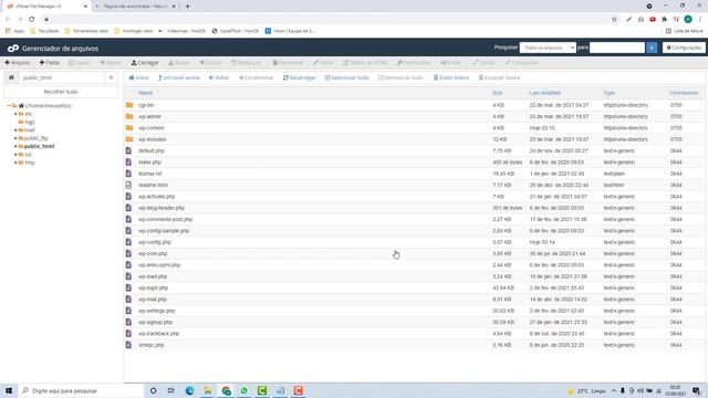 Como Habilitar o PHPInfo na K2host (Rápido e Fácil) 2021 смотреть онлайн