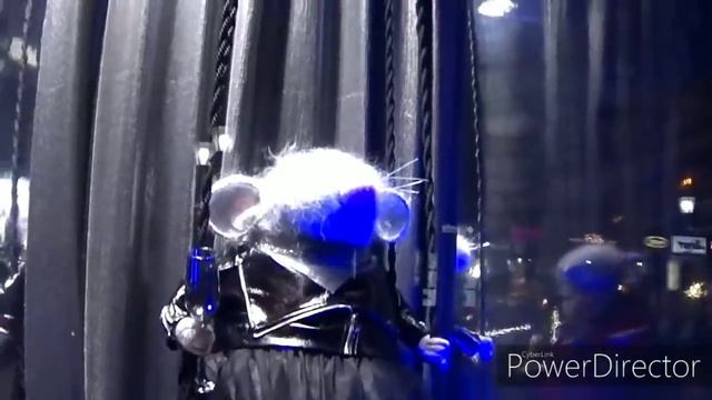 Продолжаем отмечать РОЖДЕСТВО! Вечером в кафе.VLOG.Брест