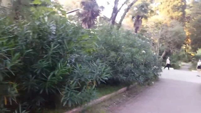 Санаторий "Известия". Обзор территории. Ужин. Шведский стол. Сочи. Адлеровский район. 5.08.22. смотреть онлайн