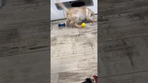 неуклюжий малыш