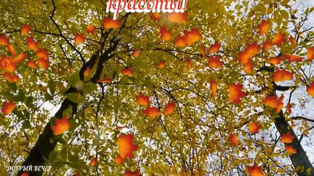 Добрый Осенний Вечер! Хорошая Песня! Пожелание Доброго Вечера и Спокойной Ночи! Открытка! смотреть онлайн