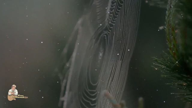 Yuri Antonov - I Send To You My Love смотреть онлайн