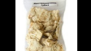 Агарикус - царь лекарств.