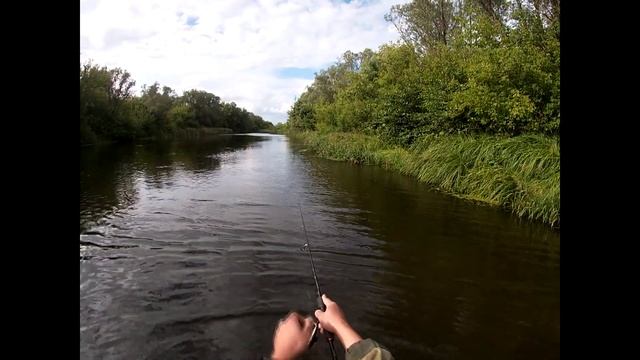 Вот это всадила))) Ловим щуку на волкеры!!! смотреть онлайн