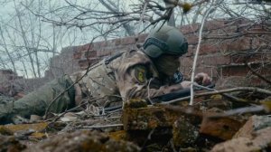 Ничего на свете лучше нету...