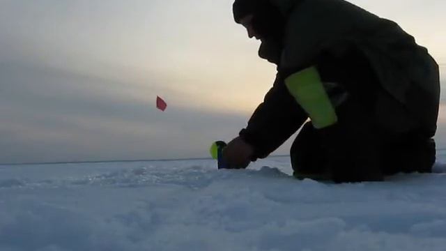 Зимняя ловля судака на жерлицу смотреть онлайн