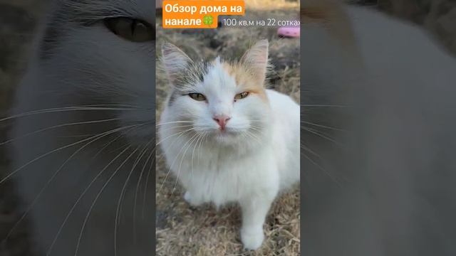 Смотрите обзор хорошего дома в Краснодарском крае ? #переезднаюг #краснодарскийкрай #северская #дом смотреть онлайн