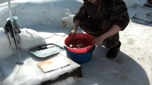 Балык из горбуши. Готовить буду только ТАК!