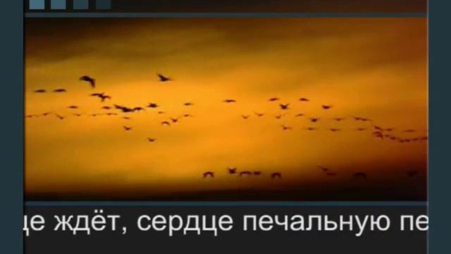 Весна вновь наш край посетила смотреть онлайн