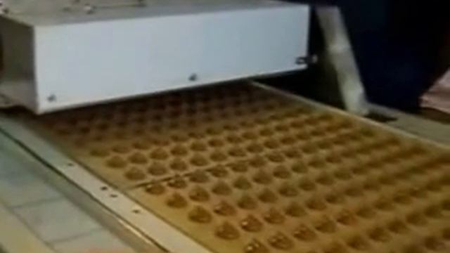 Оборудование для производства шоколадных конфет типа Трюфель смотреть онлайн