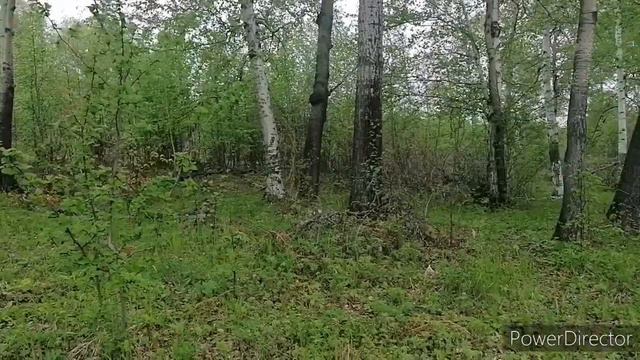 ВЛОГ:ЕДУ ЗА ПАПОРОТНИКОМ НА СОПКУ ЗАБИРАТЬ. ЗАГОТОВКА НА ЗИМУ. КТО КО МНЕ ПРИБЕЖАЛ. ЖИЗНЬ В ДЕРЕВНЕ смотреть онлайн