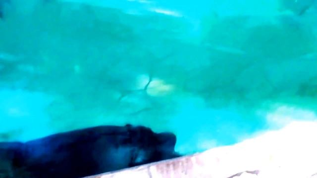 Морской аквариум Варшавского зоопарка смотреть онлайн