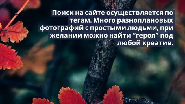 ТОП-8 бесплатных фотостоков крутых изображений для веб дизайна смотреть онлайн