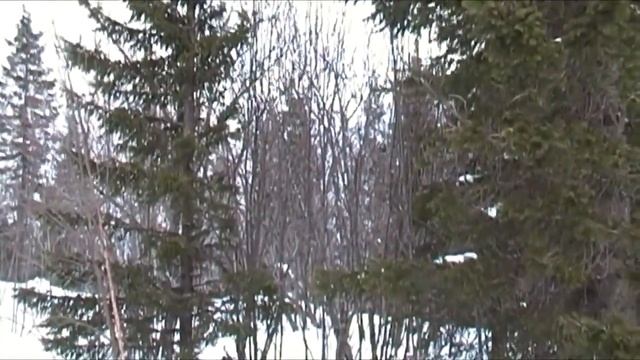 Зюраткуль национальный ч.2//Сказочный Парк Зюраткуль видео отдых смотреть онлайн
