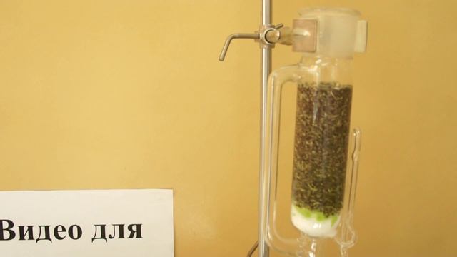 Экстракция из стеблей мяты перечной черной. Часть 2:экстракция смотреть онлайн