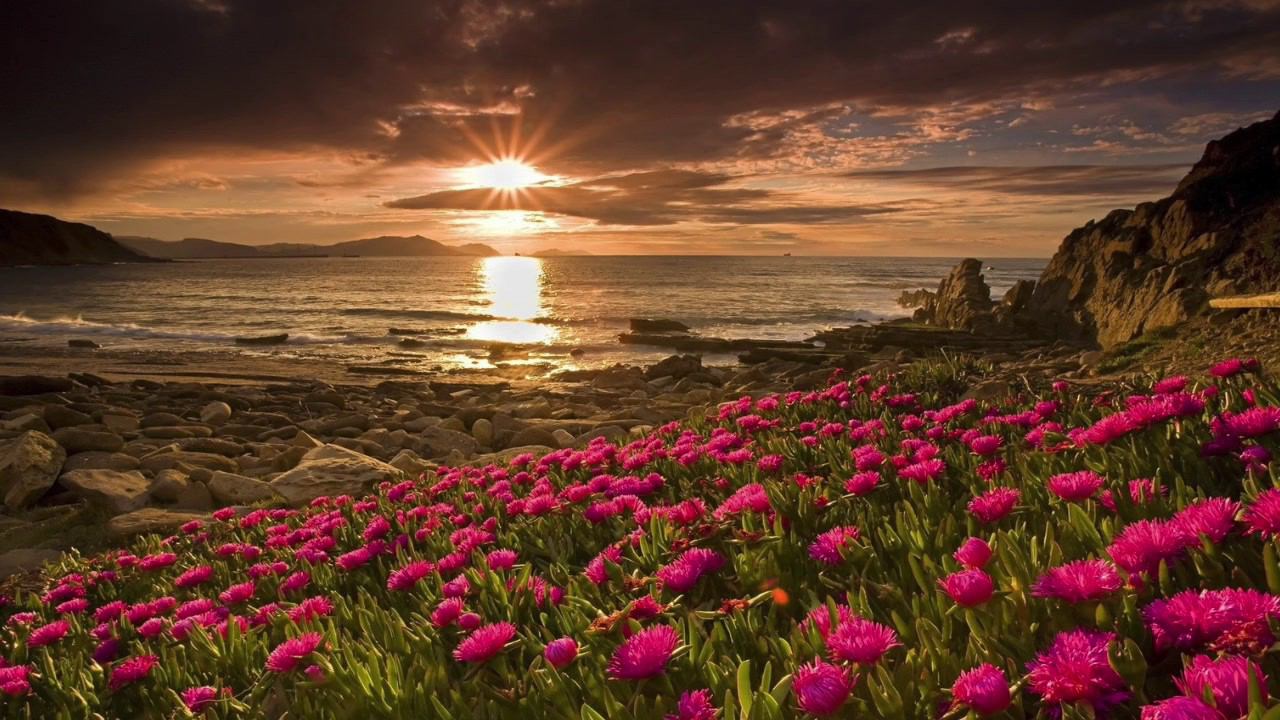 Китайская Музыка От Депрессии, Стресса И Усталости Красивая Музыка Для Медитации И Релаксации смотреть онлайн