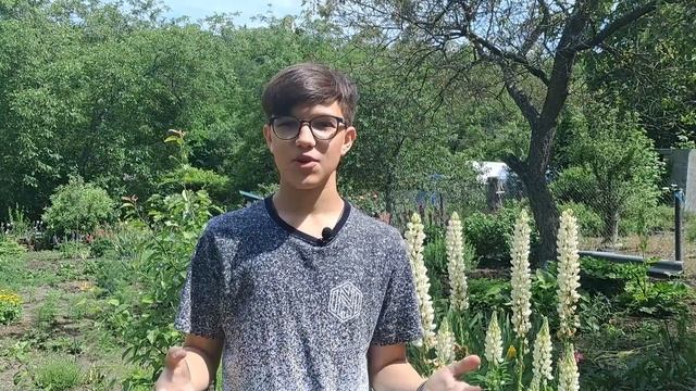 ТАЙНЫ ГОРЫ БЕШТАУ / КАВКАЗ смотреть онлайн