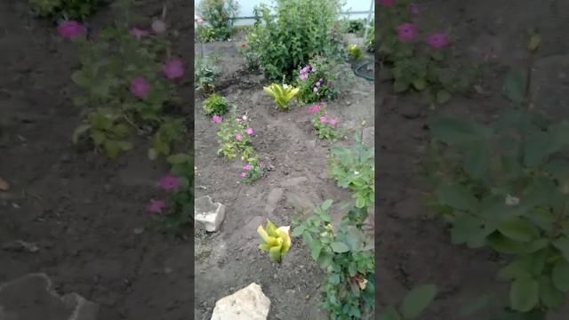 Строительные Модели