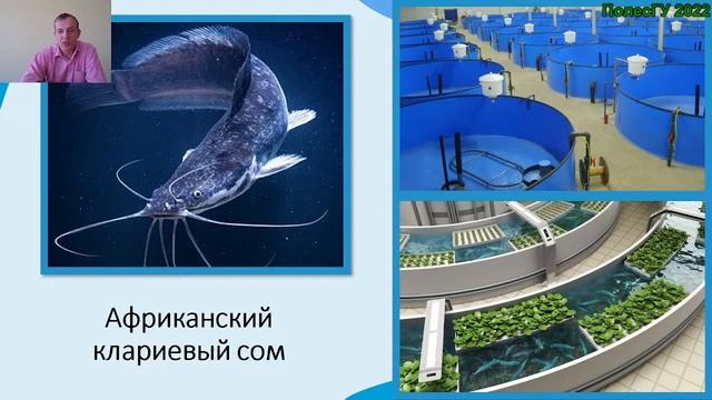 Онлайн-лекция введение в специальность "Промышленное рыбоводство". смотреть онлайн