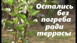 #154 Контур нового навеса и террасы. Остались без подвала. Ещё один укос сена.