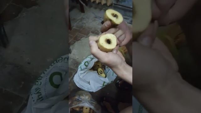 Картошка "Магнит" Люблено смотреть онлайн