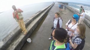 Португалия. Порту: океан и маяк Фельгейраш