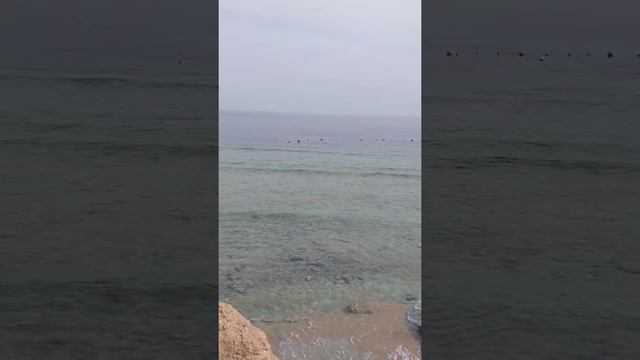 Пляж Пальма бич, январь 2021 карантин, обзор смотреть онлайн