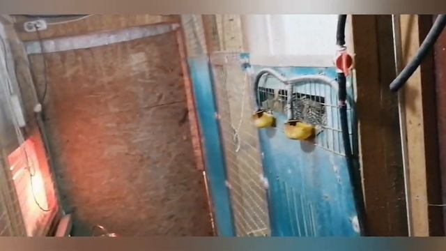 снова идёт снег а дел всё больше смотреть онлайн