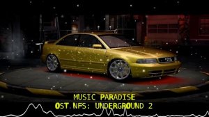 Paul van Dyk - Nothing but You (NFS Underground 2 OST)