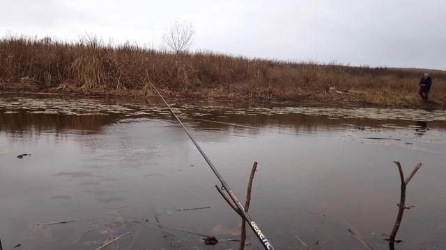 БЕШЕННЫЙ КЛЁВ РОТАНА В НАЧАЛЕ НОЯБРЯ! НЕ УСПЕВАЮ ВЫТАСКИВАТЬ! Ловля КРУПНОГО ротана поздней осенью! смотреть онлайн