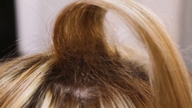 PRODIVA техники создания долговременного прикорневого объема. Правила работы с составами 