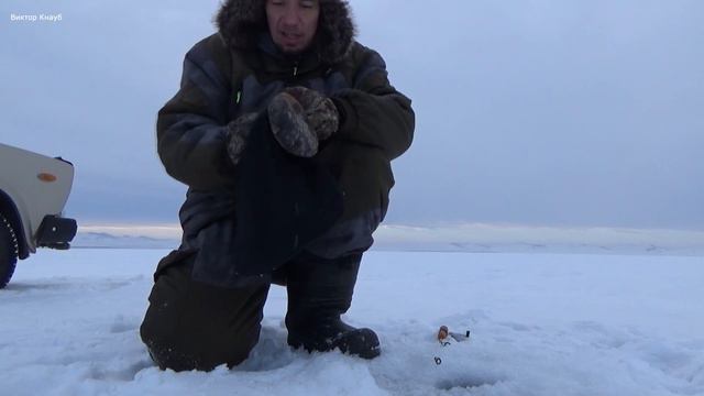 ЛОВЛЯ ОКУНЯ. ИЩУ РЫБНОЕ МЕСТО! Мороз и ветер! смотреть онлайн