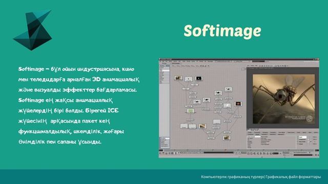 Бейне сабақ. Компьютерлік графиканың түрлері . Графикалық файл форматтары. смотреть онлайн