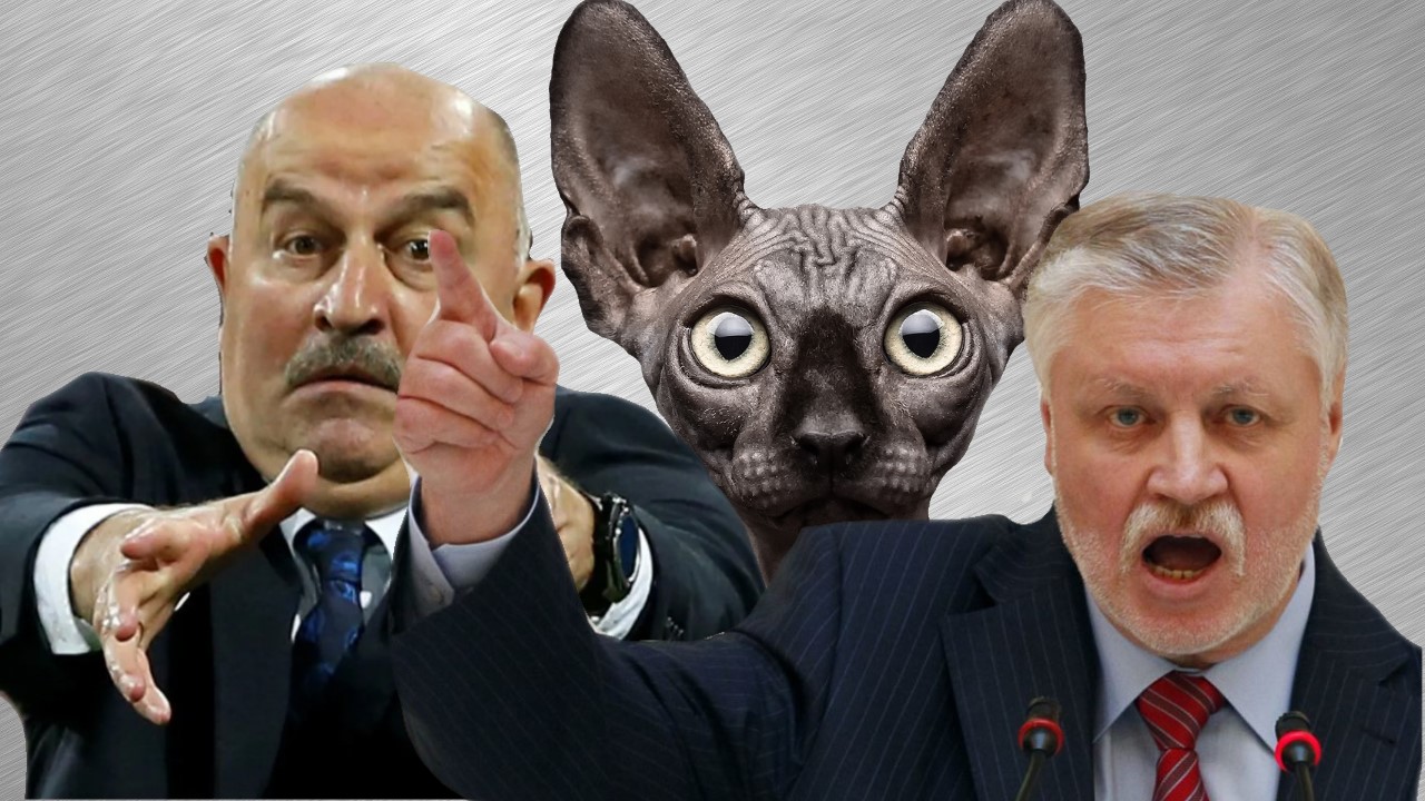 Им ВСЁ пофиг / Кот Костян смотреть онлайн