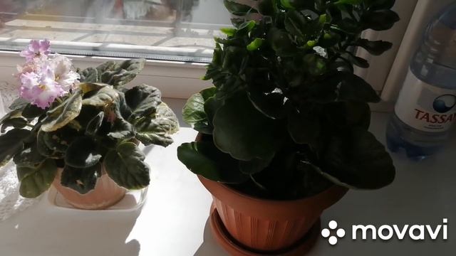 Мамина работа. Ошибка, перевязываю. Котлеты по-новому рецепту. смотреть онлайн