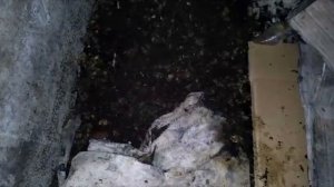 ПАН84 Вермиферма по разведению червей и получение биогумуса. Технология. Турция Германия