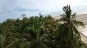 DJI Avata – Лучший FPV дрон или хайп?