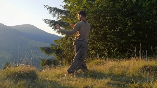 VID 20210729 0650011 смотреть онлайн