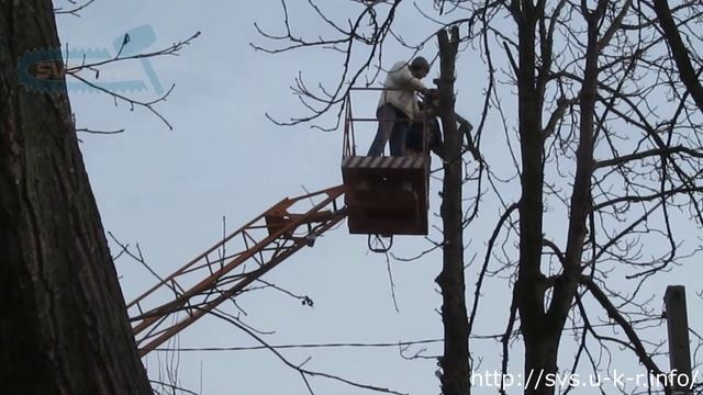 Как #спилить #дерево в городе #бензопилой смотреть онлайн