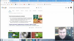 Как приготовить хелат железа в домашних условиях!!!