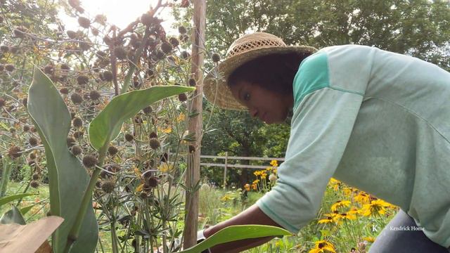 HOW TO SAVE VEGGIE, HERB & FLOWER SEEDS FOR CONTINUOUS HARVEST/ KENDRICK HOME смотреть онлайн