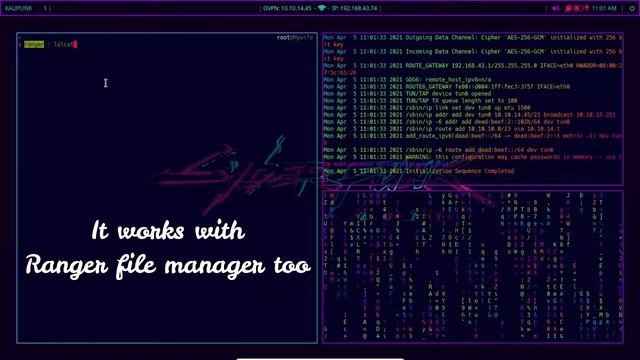 Bring colour text in your terminal | #linux | zsh смотреть онлайн